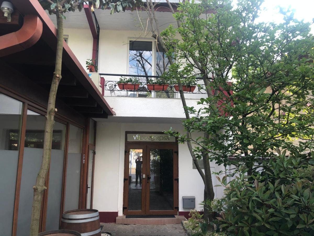 Villa Rosa Тимишоара Екстериор снимка
